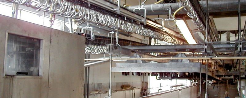 FLEISCHHAKENREINIGUNG